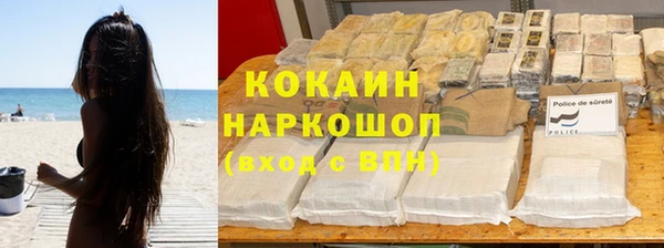 мяу мяу мука Бородино