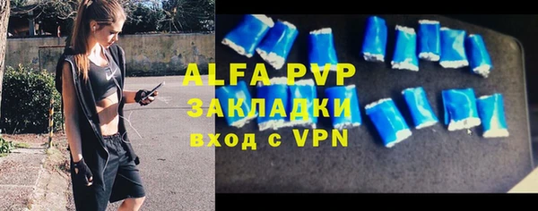 тгк Богданович