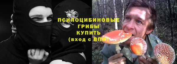 jwh Богородск