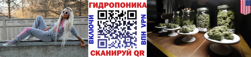 Бошки марихуана THC 21%  Купить закладки  Инта 